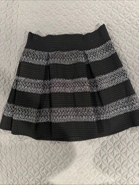 Ginger G Black and Silver Striped Skater Skirt with Pleats and Side Zipper